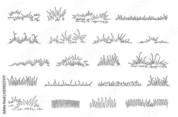 Obraz Linear grass doodle. Hand drawn lawn tufts, sketch greenery lines and natural fresh meadow decorative borders. Garden grass patches isolated vector set.