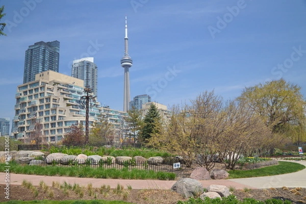 Fototapeta Toronto downtown