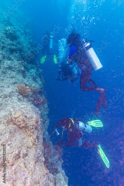 Obraz A group of divers near a coral wall