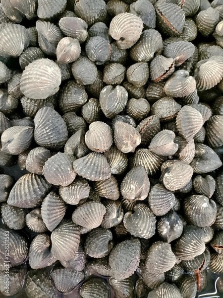 Obraz The sea shells in the market.