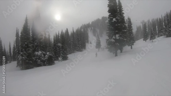 Obraz Breathtaking View Of Snow Covered Mountain Surrounded By Trees Under A Sunny Sky