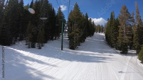 Obraz Scenic View Of A Snow-covered Ski Slope Surrounded By Alpine Trees Under A Clear Sky