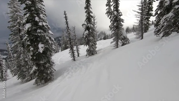 Obraz Majestic View Of Snow-covered Mountain Landscape With Dense Tree Cover And Overcast Clouds