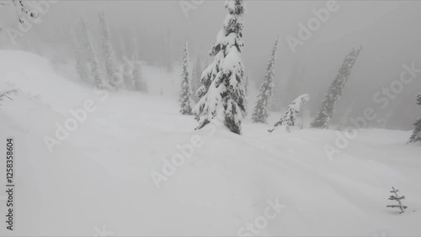 Obraz Active Individual Enjoying Winter Sports By Skiing Across The Picturesque Snowy Landscape