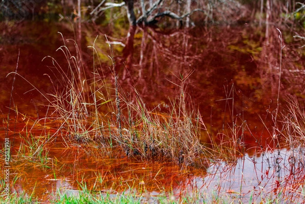 Fototapeta Pollution water