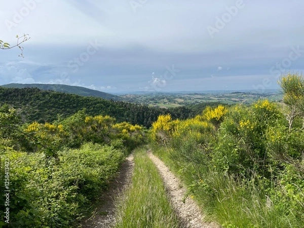 Obraz Landschaft in den Marken