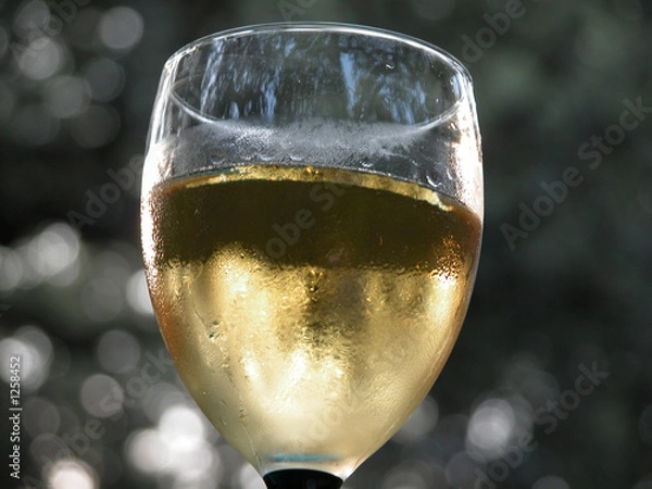 Obraz chilled white wine