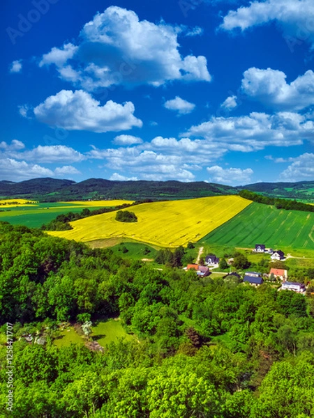 Fototapeta Rolling hills around Bolkow Castle