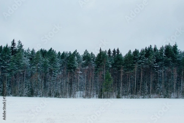 Obraz Processed with VSCO with e2 preset