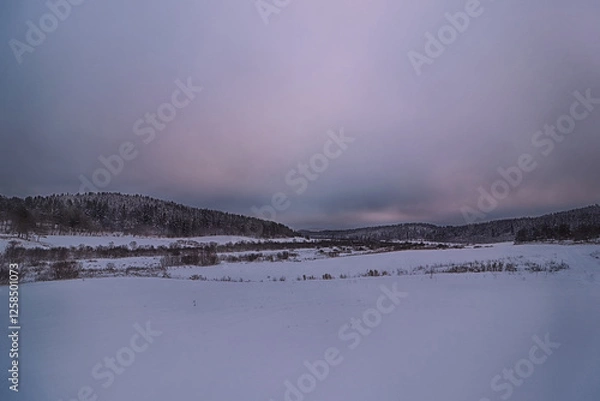 Obraz winter landscape with fog