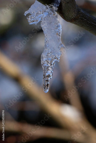 Obraz Die Nacht wird der Eiszapfen wohl noch überstehen