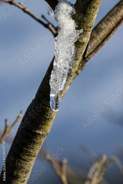 Obraz Sonne schmilzt den Schnne, der Frost sorgt für einen Eiszapfen