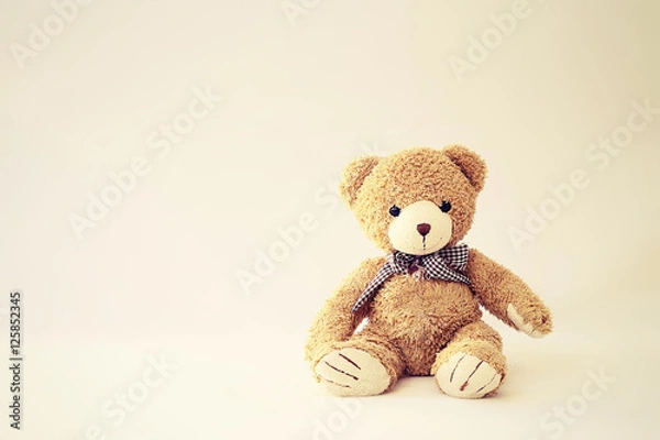 Obraz Teddy Bear sitting Background