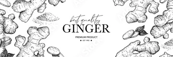 Fototapeta Ginger root vector label. Root, ginger pieces and powder vector drawing. Engraved style illustration. 