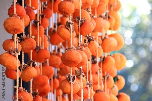 Fototapeta 干し柿を作ろう