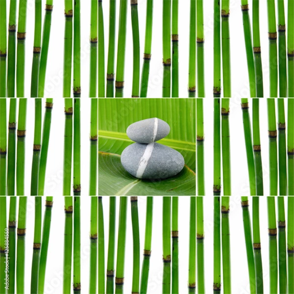 Fototapeta Still life with young bamboo sticks with leaf and stones,
