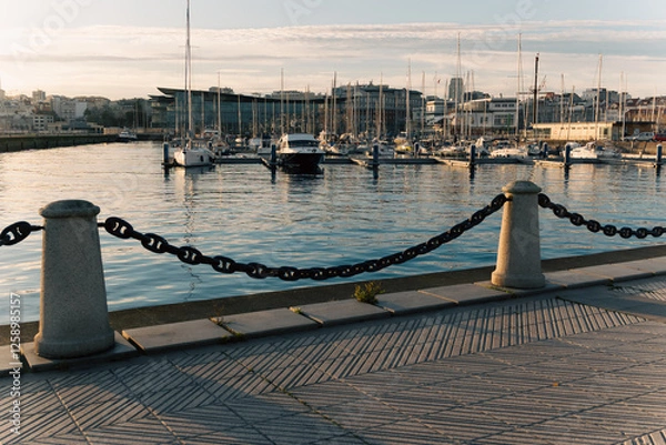 Obraz marina at sunset