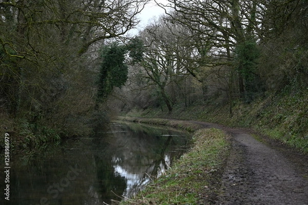 Obraz a view of the grand western canal near Tiverton from the tow path