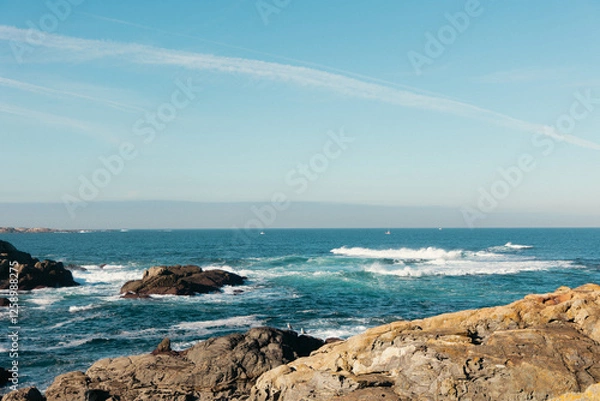 Obraz waves and rocks