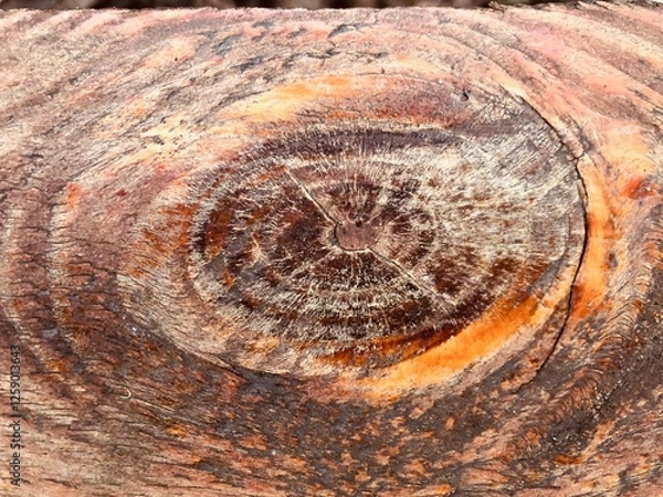 Obraz wood texture background