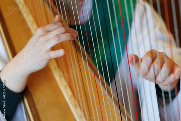 Fototapeta ハープ