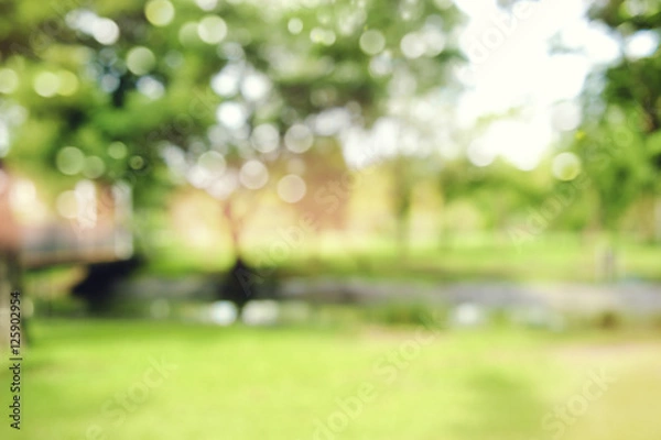 Fototapeta defocused bokeh background of  garden trees in sunny day