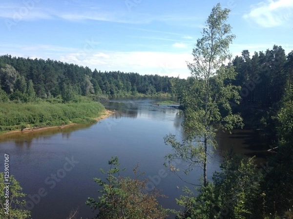 Obraz River between the trees