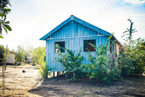 Obraz Blue wooden house in a rural Amazonian setting surrounded by trees.