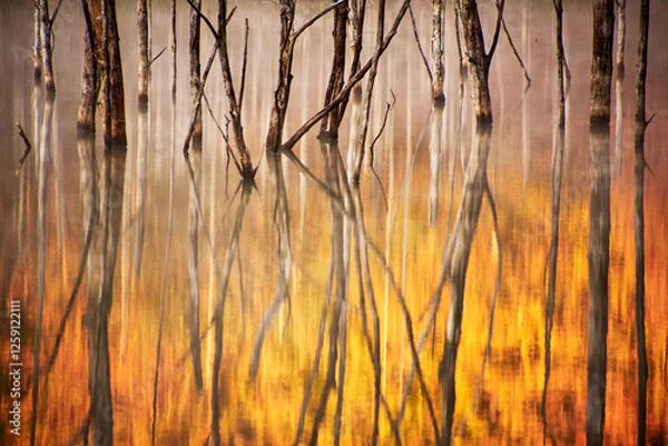 Obraz Autumn sunrise landscape with trees reflecting in the water in the morning on Cuejdel Lake