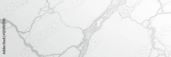Fototapeta Panoramic view of white marble stone surface with intricate veining and subtle shading, white marble, texture, artistic value