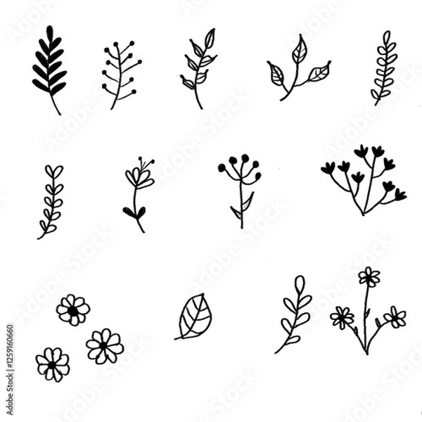 Fototapeta Collection of simple flower doodles, hand-drawn branches, and leaf icons.