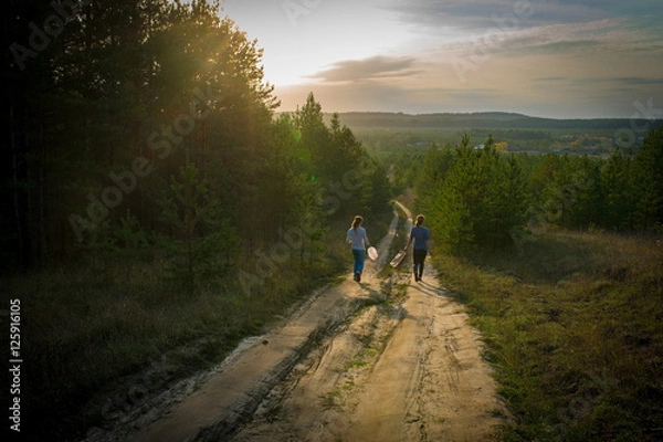 Fototapeta picking mushrooms in the forest