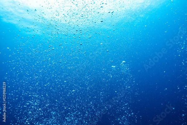 Fototapeta 熱帯魚の舞