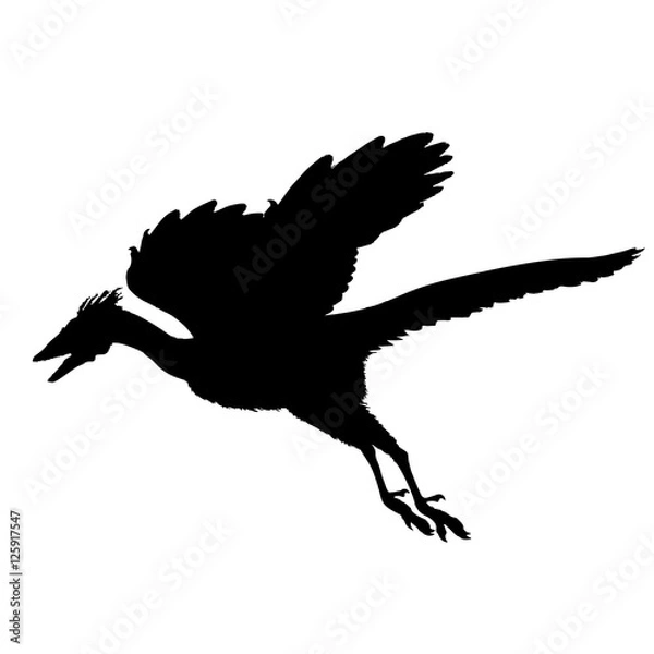 Fototapeta old fossil bird Archaeopteryx. Black and white vector illustration