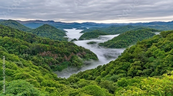 Fototapeta Misty Mountain Valley Landscape Serene Nature Scene Lush Green Environment Scenic Viewpoint Tranquil Concept