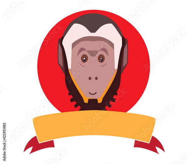 Fototapeta Capuchin monkey