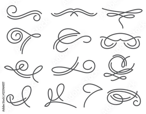 Fototapeta Ornate calligraphy type victorian swirls vector set