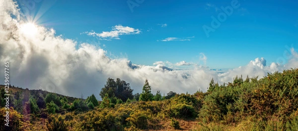 Fototapeta Scenic from the Kula Kalialinui from the Haleakala Highway with the clouds at the bottom