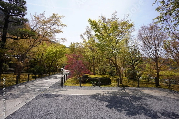 Obraz 京都府に鎮座する神社仏閣と庭園など