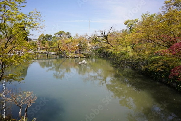 Fototapeta 京都府に鎮座する神社仏閣と庭園など