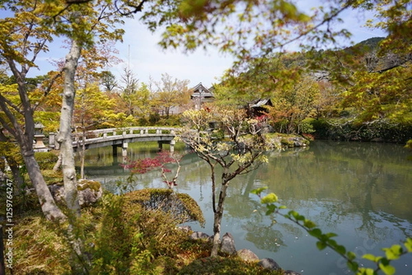 Obraz 京都府に鎮座する神社仏閣と庭園など