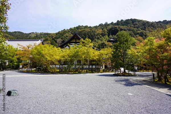 Obraz 京都府に鎮座する神社仏閣と庭園など