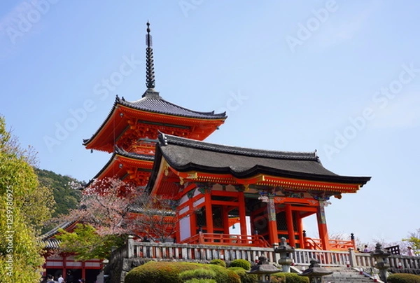 Fototapeta 京都府京都市の東山区に鎮座する清水寺
