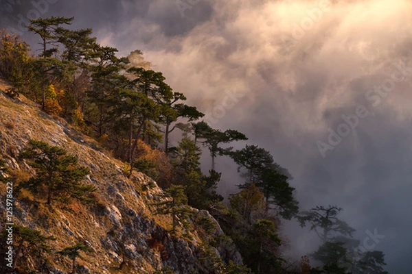 Obraz Warm morning sun lights up the trees in autumn colors on the mountain slope, and the low clouds that hide the forest in the valley, creating a mystical atmosphere, Ai Petry, Crimea