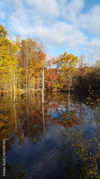 Obraz Fall in New York