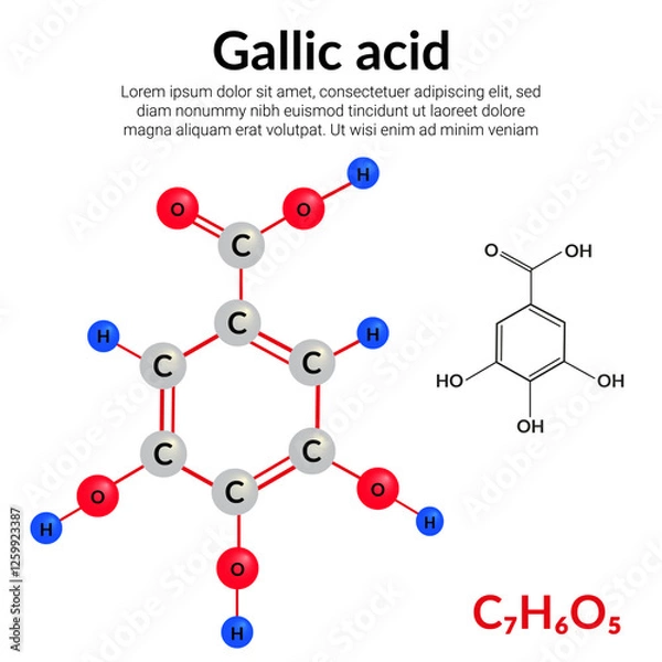 Fototapeta Gallic acid (trihydroxybenzoic acid) molecular structure formula, ball-and-stick model