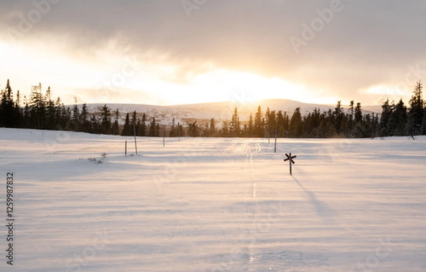 Obraz A frozen nordic ski track at dawn, while high winds blow snow across the landscape