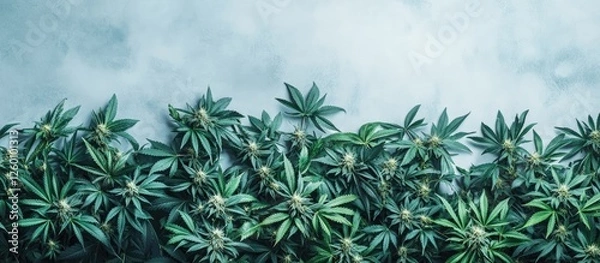 Fototapeta Vibrant green cannabis leaves arranged densely with dark green shades on a soft grey background, showcasing freshness and natural vitality.