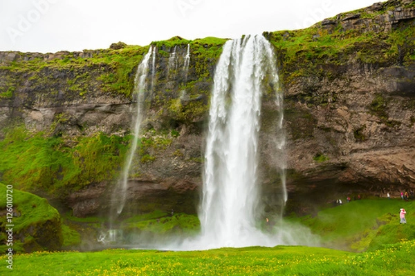 Fototapeta Seljalandsfoss one of the most famous Icelandic waterfall