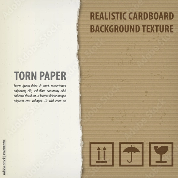 Obraz Torn cardboard pieces